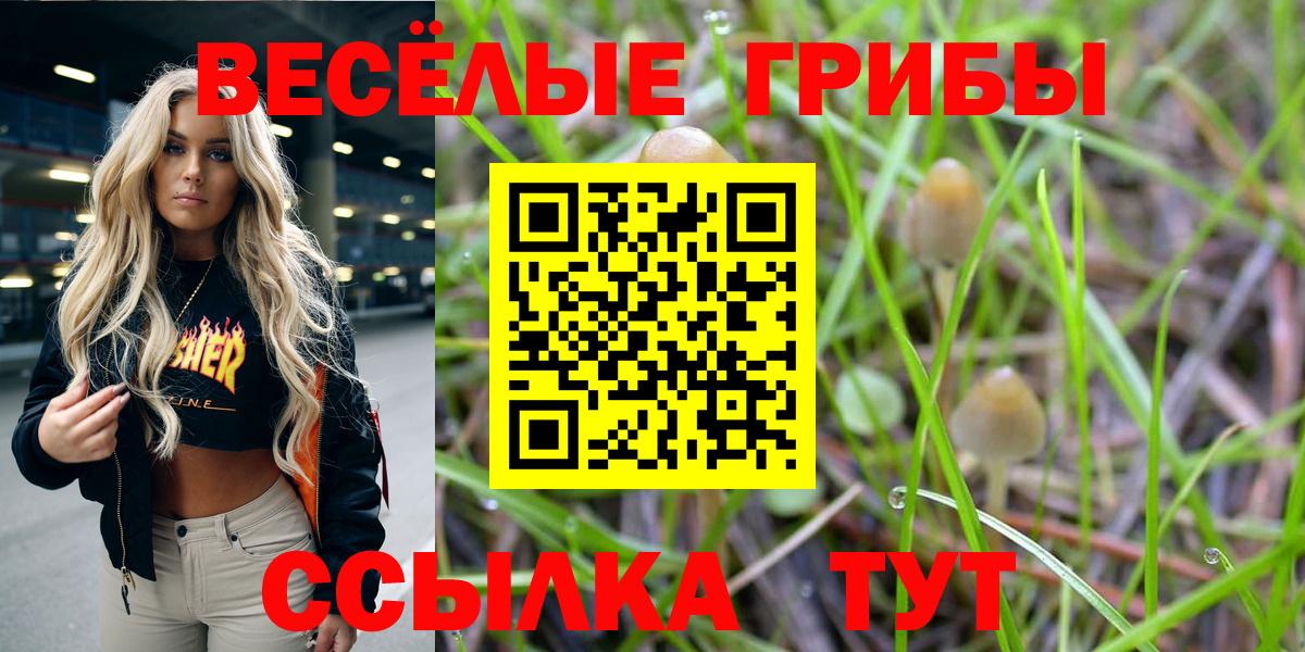 Псилоцибиновые грибы Psilocybe  Вход с VPN  Псилоцибиновые грибы ЛСД  Реутов 