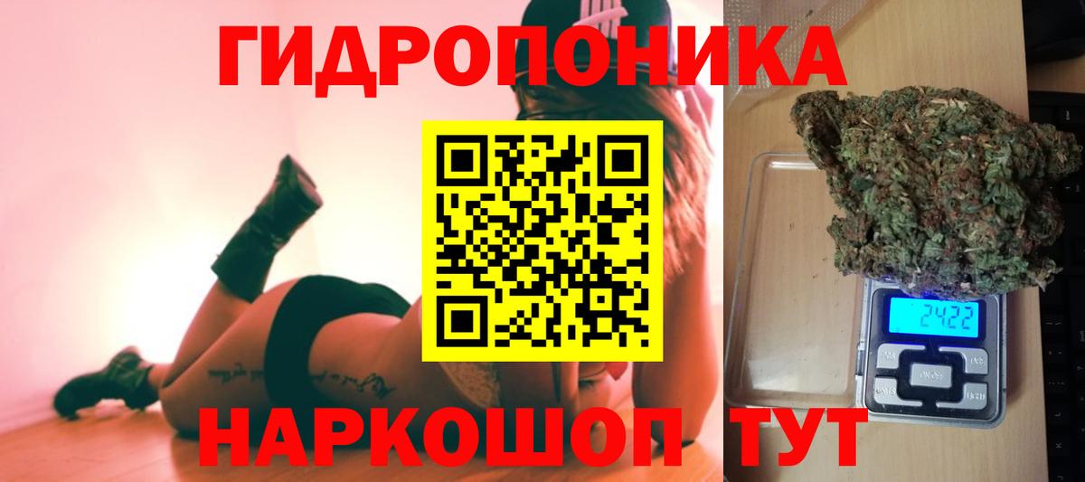 Каннабис сатива Реутов